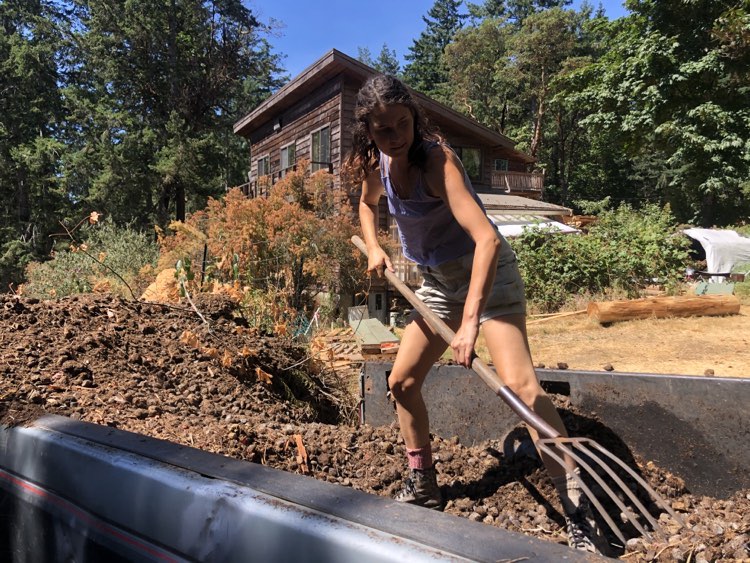 Building New Garden Beds