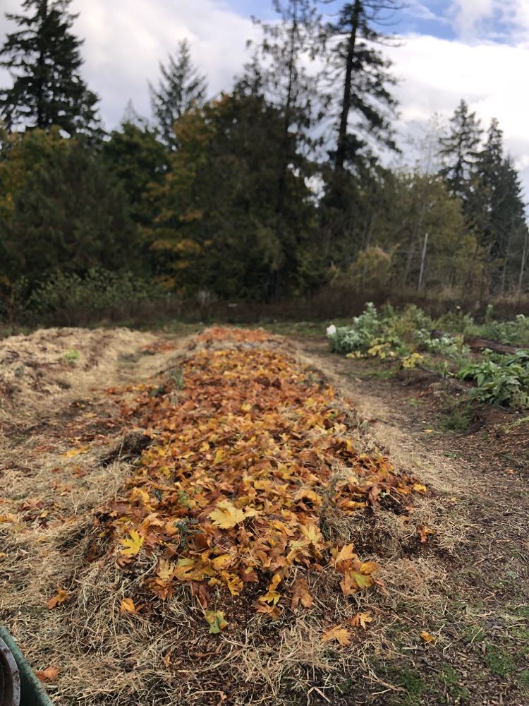 Building New Garden Beds